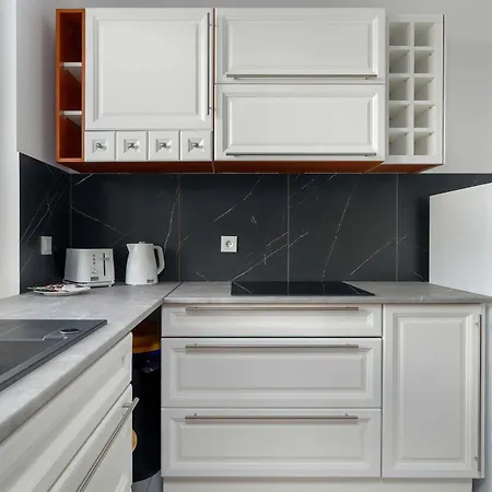 Elegant In For Remote Work With Parking And Balcony By Renters 포즈난